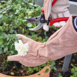 Garden Tools