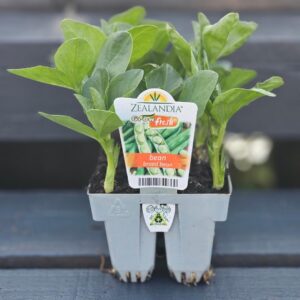 6 pack veggies