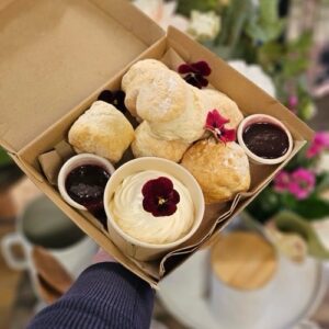 Scone Box X12