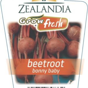 Beetroot 'Bonny baby' 6pack