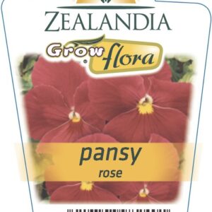 Pansy 'Delta Rose' 6 pack