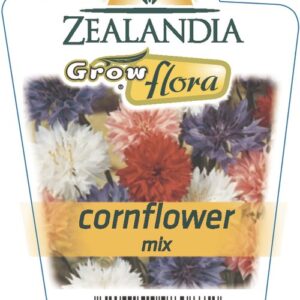 Cornflower Mix 6 Pack