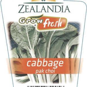 Cabbage 'Pak Choi' 6 Pack