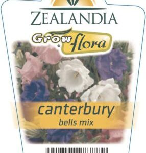 Canterbury 'Bells Mix' 6pack