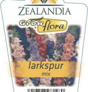 Larkspur 'Mix' 6pack