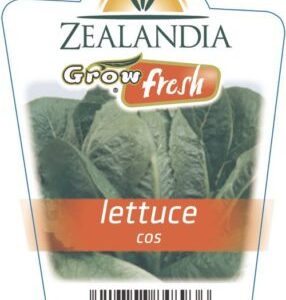 Lettuce 'Cos' 6pack