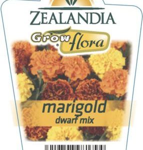Marigold 'Dwar Mixf' 6pack