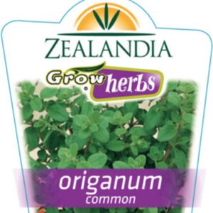 Herbs Origanum 'Common' 10cm