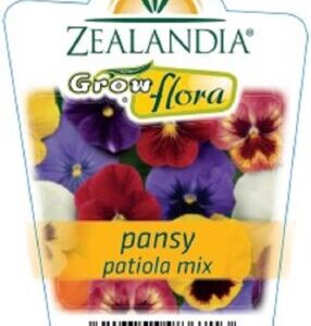 Pansy 'Patiola Mix'  6pack