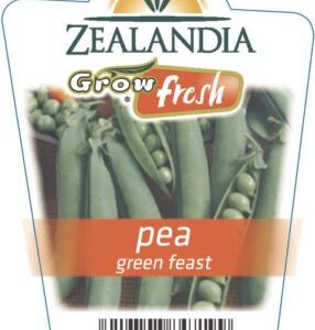 Pea 'Green Feast' 6pack