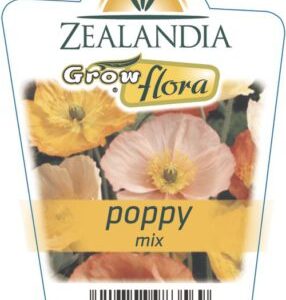 Poppy 'Mix'  6pack