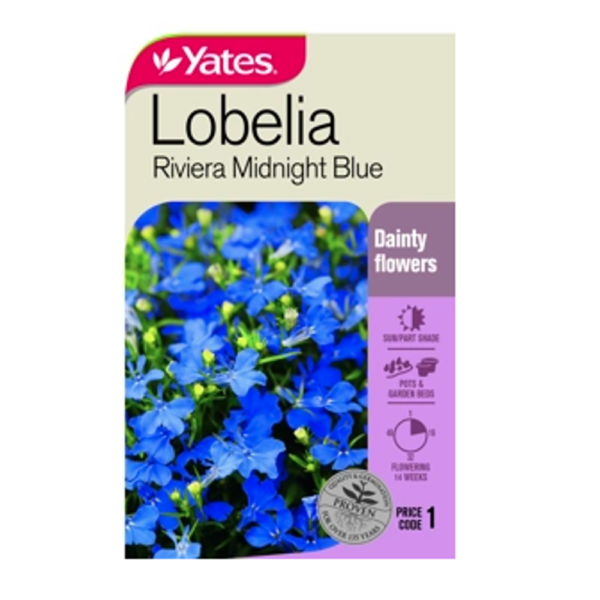 Seed Lobelia Riviera Midnight Blue