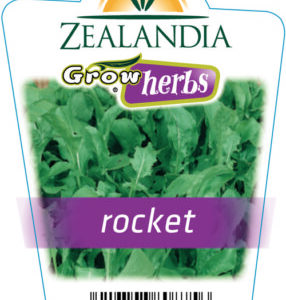 Herbs 'Rocket' 10cm pot