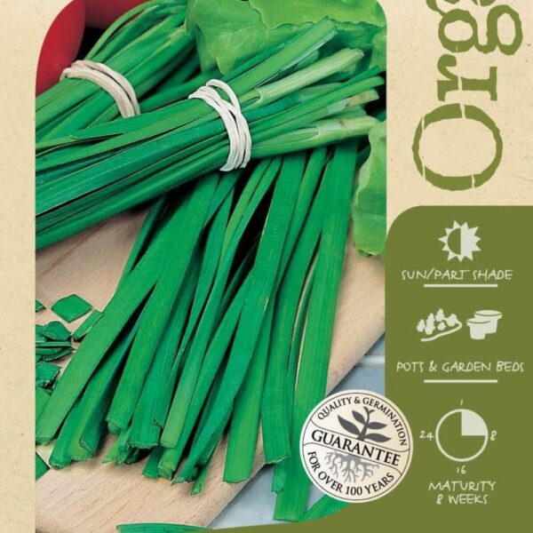 Seed Chives Garlic Organic