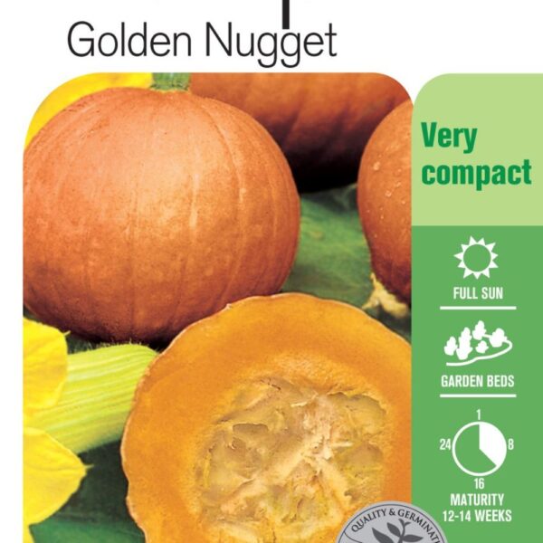 Seed Pumpkin Golden Nugget