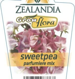 Sweet Pea 'Parfumiere' Mix