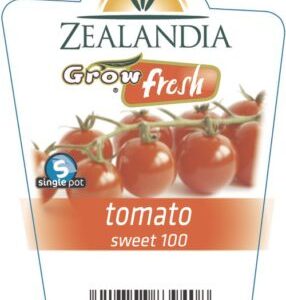 Tomato 'Sweet 100' 6pack