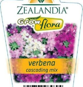 Petunia 'Cascadeing Mix' 6pack