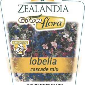 Lobelia 'Cascade Mix' 6pack
