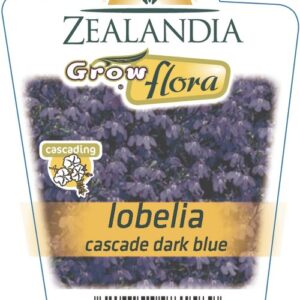 Lobelia 'Cascade Dark Blue' 6Pack