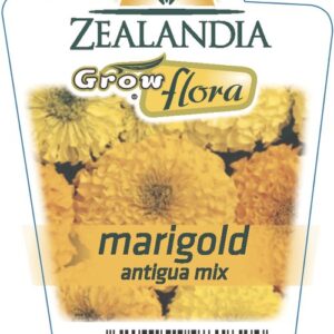 Marigold 'Antigua Mix' 6pack